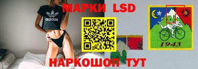 стаф Новодвинск