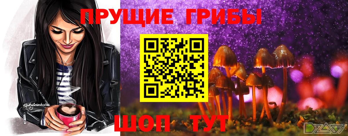 Галлюциногенные грибы прущие грибы  Вход с VPN  Галлюциногенные грибы Cubensis  Трёхгорный 